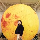 혜진 - 장흥군 | 혜진