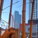 노포숯불 동성로점 이미지