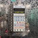 안리감성스테이