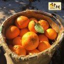 스테이하례 이미지