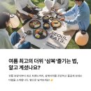 🔥복날 전통 풍습부터 현대 트렌드까지, 삼복더위 즐기기