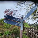 삼산면-7 이미지