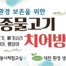 신탄진 현도교밑 Daum카페