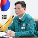 자연T