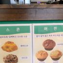 투고로스터스
