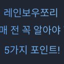 써머썬셋 | 레인보우쪼리 어떤가? 구매 전 꼭 알아야 할 5가지 포인트