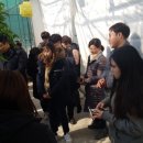 토마토피아 네이버블로그