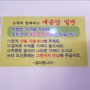 금강칼국수 이미지