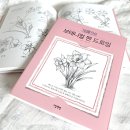 보태니컬 드로잉 이미지