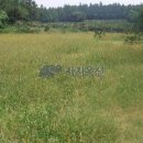 회수동-4 이미지