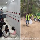 동작삼일수영장 이미지