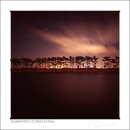 별과 소나무 이미지