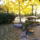 영수공원길 이미지