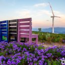 가야산 관광펜션 이미지