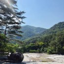 무릉계곡 진입로 이미지