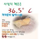 ★ 황미(오분도미) 관련 상품 ★ 이미지