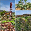 동희농장 이미지