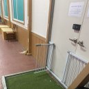 댕댕아리 이미지