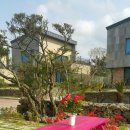 제재텐스빌 이미지