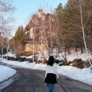 독립카프라자 | 모나용평 버치힐콘도 45평형 벽난로 숙소, 마시멜로우 준비물과 부대시설 평창 가족여행 펜션 추천