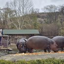 식물원 옆 동물원 이미지