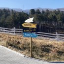 은평목장 이미지