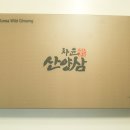 차윤산삼