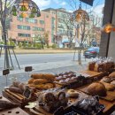 건강발효빵(화) | 성북동 빵 맛집! 오보록 무화과깜빠뉴 &amp; 천연발효 건강빵 찐 후기