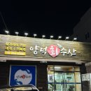 포항가자미회 | 포항 맛집 양덕 참가자미 양덕 회 수산