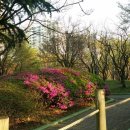 코아루공원 이미지