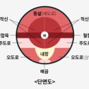 스시미즈테이 이미지