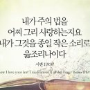 1597 티스토리
