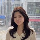 유성머리염색 네이버블로그