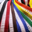 효성태권도 이미지