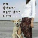 견공 이미지