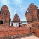 작전목장 | 아기랑 나트랑 가족여행 기록 / 바오틴여행 프라이빗 시티투어 / 양떼목장 / 포클롱가라이타워 다녀온날