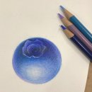 세밀색연필화 이미지