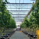 옥종농장 이미지