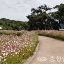 남일면 행정복지센터 이미지