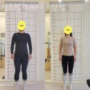 영스필라피티 네이버블로그