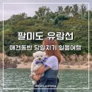 둘레길유랑 | 서울근교여행 인천 당일치기 팔미도 유람선 애견 동반 투어