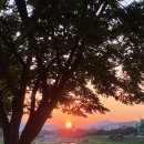 천연구소