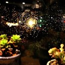 노을이슬 이미지