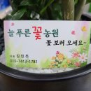 꽃사랑농원