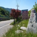 밤머리재약수터 이미지