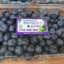 복이네 농장 이미지