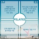 진요가기구필라테스