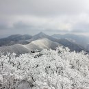 2월17일 청주화요산악회 민주지산 번개산행 이미지