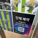 거북이게임장 이미지