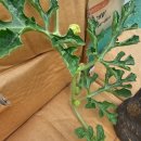 수박공인중개사무소 이미지